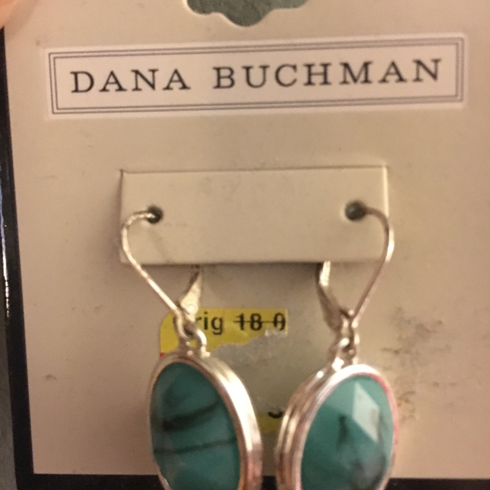 Earrings NWT